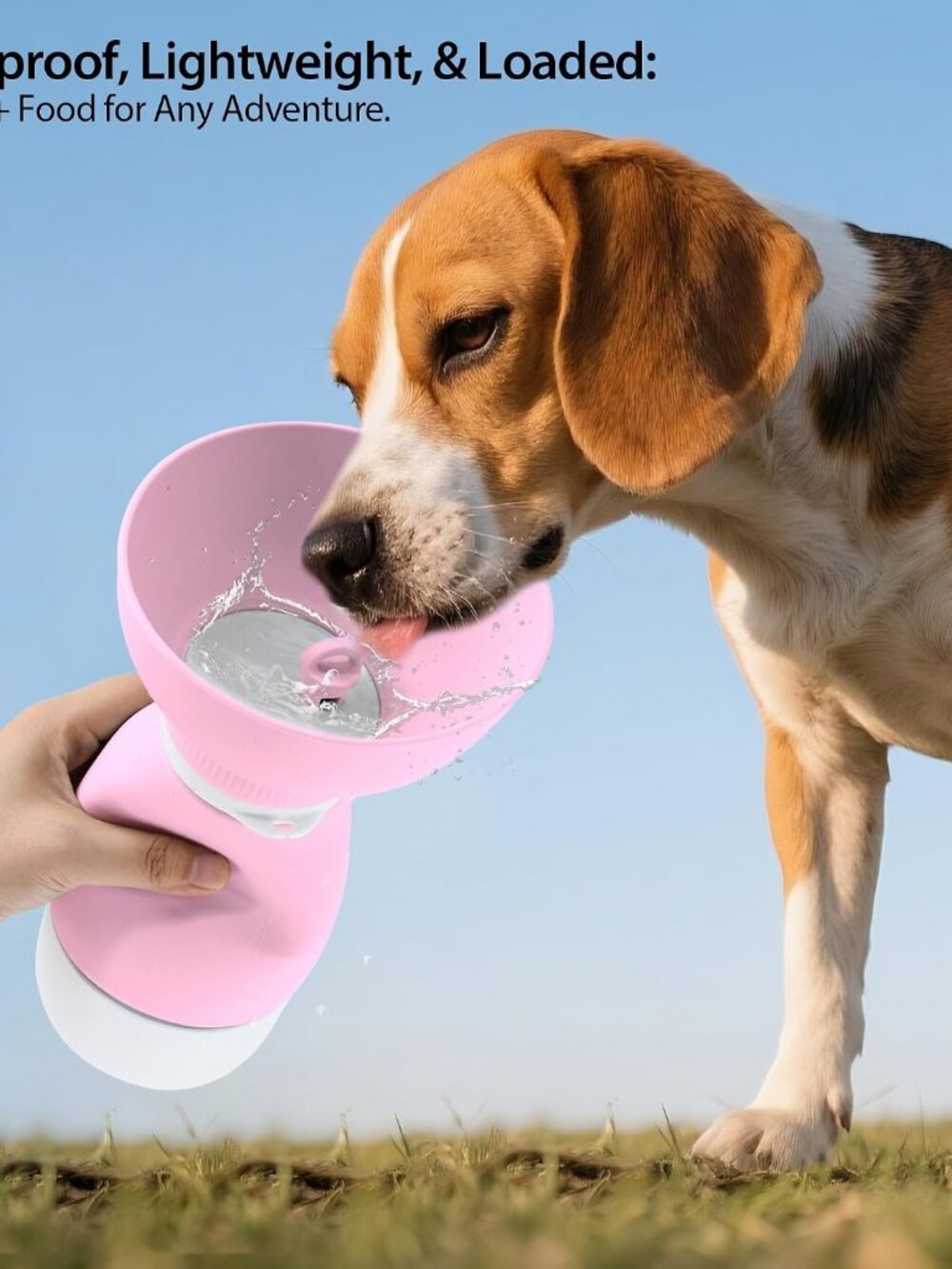 Portable Dog Water Bottle & Food Container - Leakproof(1 Pack)